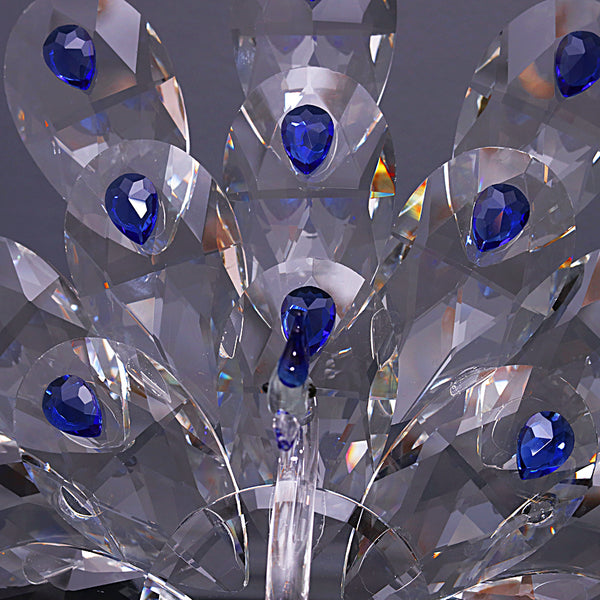 Sapphire-Eyed Peacock