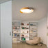 HARMONY OF LIGHT-A CEILING LIGHT