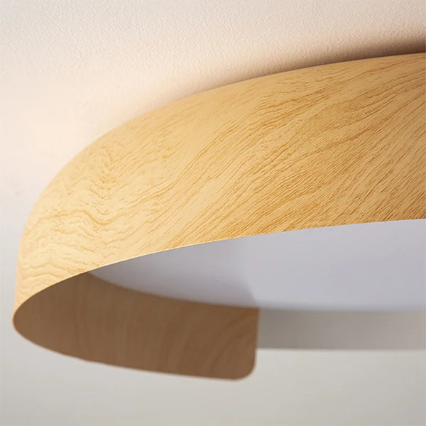 HARMONY OF LIGHT-A CEILING LIGHT