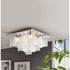 THE PLACID PLETHORA -B CEILING LIGHT