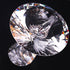 files/0W7A0170.jpg