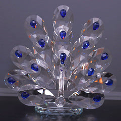 Sapphire-Eyed Peacock