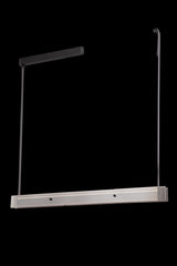 Nexora Linear Pendant